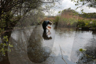 'Irreplaceable habitat': planning bill raises fears for England's chalk streams.