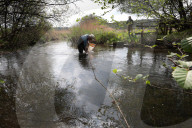 'Irreplaceable habitat': planning bill raises fears for England's chalk streams.