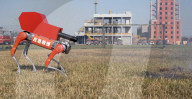 Firefighting and rescue robot dog