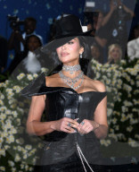 2025 Met Gala Celebrating Superfine: Tailoring Black Style