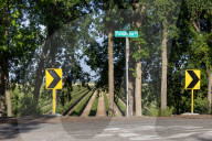 Grapevines Along Pumphouse Rd In The Sacramento-San Joaquin River Delta