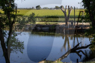 Winchester Lake Within The Sacramento-San Joaquin River Delta 