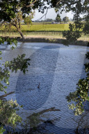 Winchester Lake Within The Sacramento-San Joaquin River Delta 