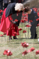 Queen Camilla views a new display of ceramic poppies