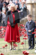 Queen Camilla views a new display of ceramic poppies