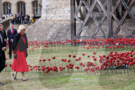 Queen Camilla views a new display of ceramic poppies