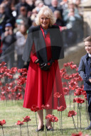 Queen Camilla views a new display of ceramic poppies