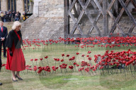Queen Camilla views a new display of ceramic poppies