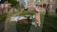 India Launches Military Strikes Against Pakistan