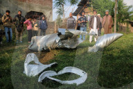 2 Indian Air Force Jets Downed: Pakistan's Military Said