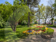 Blooming Spring Flower Bed In A Bavarian Park