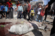 Israel-Gaza Conflict 
