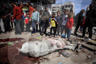 Israel-Gaza Conflict 