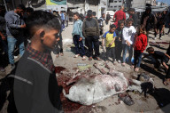 Israel-Gaza Conflict 