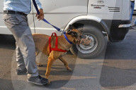 Civil Defence Mock Drill In Jaipur 