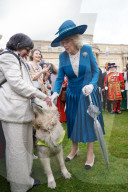 Buckingham Palace Garden Party in London, UK.
