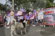 Family, Friends, And Feminist Groups Mobilize For The Disappearance Of Fanny Zúñiga Martinez In Milpa Alta, Mexico City