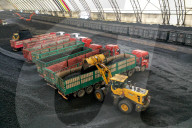 China Coal Production
