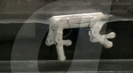Doggy-paddling robot dog