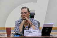 Extraordinary Session Of The General Council Of The National Electoral Institute (INE) In Mexico City