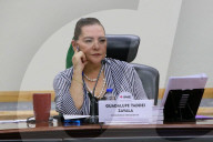 Extraordinary Session Of The General Council Of The National Electoral Institute (INE) In Mexico City