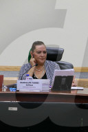 Extraordinary Session Of The General Council Of The National Electoral Institute (INE) In Mexico City