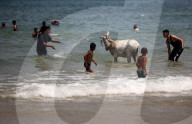 Daily Life In Gaza
