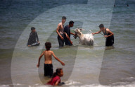 Daily Life In Gaza