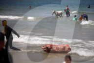 Daily Life In Gaza