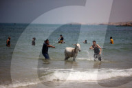 Daily Life In Gaza