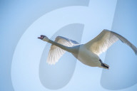 Wildlife At The Fernald Nature Preserve