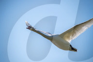 Wildlife At The Fernald Nature Preserve
