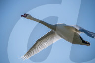 Wildlife At The Fernald Nature Preserve