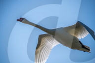 Wildlife At The Fernald Nature Preserve
