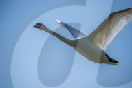 Wildlife At The Fernald Nature Preserve