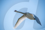 Wildlife At The Fernald Nature Preserve