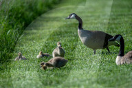 Wildlife At The Fernald Nature Preserve