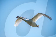 Wildlife At The Fernald Nature Preserve