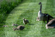 Wildlife At The Fernald Nature Preserve