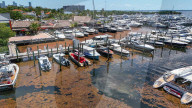 Record Seaweed Surges At South Florida Beaches