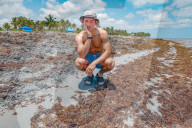 Record Seaweed Surges At South Florida Beaches