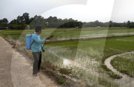 Daily Life In Nakhon Sawan