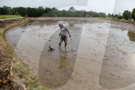 Daily Life In Nakhon Sawan