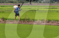 Daily Life In Nakhon Sawan