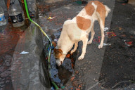 High Temperature Weather Day In Dhaka, Bangladesh
