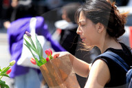 Mother's Day Tulip Picking In Downtown Toronto