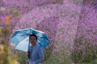 Weather  In Shanghai