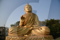 Vesak Day In India