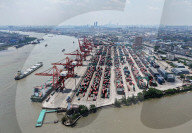 Shanghai Port Container