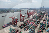 Shanghai Port Container